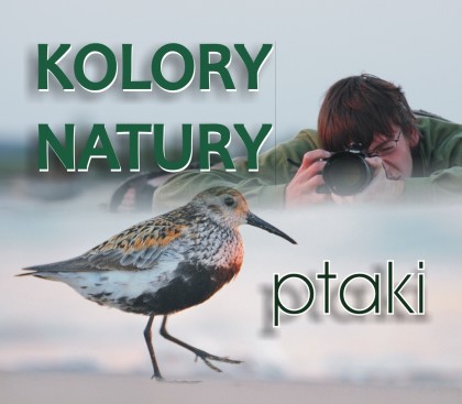 Kolory natury – ptaki