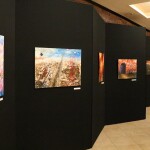 IMG_6572