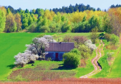 Wystawa fotografii Mieczysława Wrońskiego “Fototematy II”